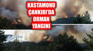 Check spelling or type a new query. Cankiri Yaprakli Ve Kastamonu Taskopru De Orman Yangini Itv Haber