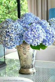 There must be more than one hydrangea growing in your garden. Pin By Norma Dominguez On Azul Celeste Turquesa Hydrangea Flower Arrangements Flower Arrangements Beautiful Hydrangeas