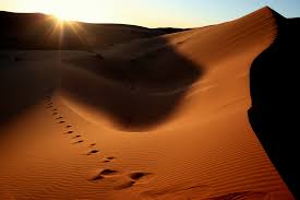 Morocco desert tours are usually available in three destinations: Wallpaper Sunset Shadow Sand Tramonto Desert Dune Ombra Marocco Footsteps Deserto Sabbia Impronte Erg Merzouga Bestcapturesaoi 1024x683 974528 Hd Wallpapers Wallhere