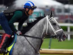 Belmont stakes entries get up to a $500 new member bonus busr is the best site to place your bet on the 2021 belmont stakes. 8muauif6qud7cm