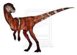 Ligabueino (meaning ligabue's little one) is a genus of noasaurid dinosaur named after its discoverer, italian doctor giancarlo ligabue. Ligabueino Pictures Facts The Dinosaur Database