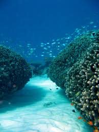 Epingle Par Yaf Sur Mayotte Photos Voyages Les Bahamas Mayotte Island