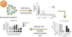 Image result for Amaranthus praetermissus
