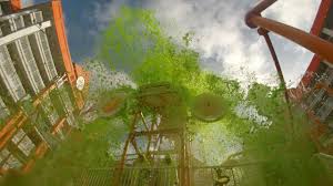 Check spelling or type a new query. Mass Sliming In The Lagoon Pool At The Nickelodeon Suites Resort Youtube