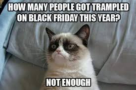 The funniest cat memes ever. Top 25 Grumpy Cat Memes Cattime