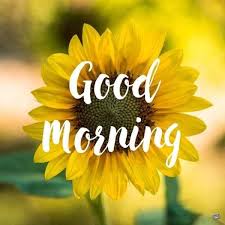 This beautiful yellow flower is liked by so many people in the world. Good Morning Have A Great Day Sunflowers And Nature Facebook