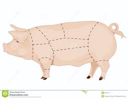 pork chart stock illustration illustration of butchery