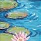 Lily Pad Pond