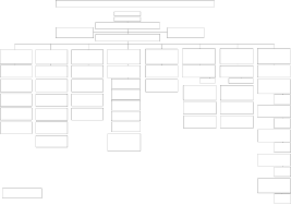 Peoples Association Organisation Structure As Of 1 June