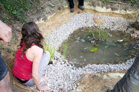 How To Build A Natural Pond | Svarttorpet