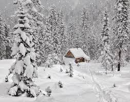 Snow winter white background seasons. Facebook