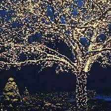 Solar Powered Led Fairy Lights Led Fairy Lights Fairy Lights Christmas Light Installation