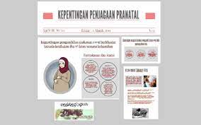 Bagaimana ia boleh berlaku dan apakah cara mengatasi hb rendah semasa mengandung? Kepentingan Penjagaan Pranatal By Nur Hanis Safwah
