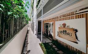 Spring Veterinary Care Veterinary Clinic In Singapore Shopsinsg