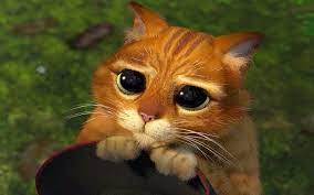 I'm sorry cards | shrek cat, animals, shrek. Shrek Cat Wallpaper Download To Your Mobile From Phoneky