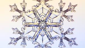 If you ever wanted to know how to draw that beautiful snowflake from disney's frozen movie, then you are going to enjoy this drawing tutorial. Physicist Explains How He Grows Snowflakes For Science Was A Snowflake Consultant For Frozen