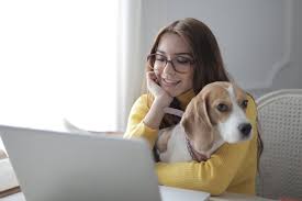 So kannst du ganz einfach online geld verdienen. Homeoffice Mit Hund So Klappt Es Mit Dem Burohund