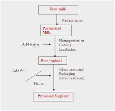 Yogurt Production Process Flow Chart Www Bedowntowndaytona Com