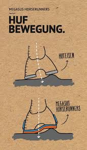http horserunners com warum megasus horserunners lang de pferd anatomie pferde reiten