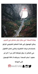 Pin By Saudi Tulip On صورة وتعليق Sis Ili