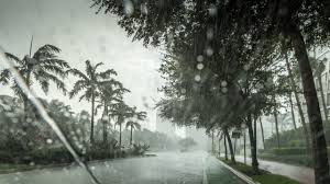 Check spelling or type a new query. Florida Has Been Experiencing Some Erratic Winters Lately The Weather Channel Articles From The Weather Channel Weather Com