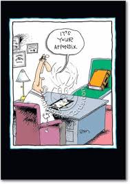 Your Appendix Card Naughty Humor Get Well Cards Cards