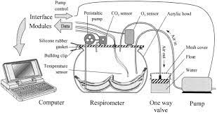 Maybe you would like to learn more about one of these? A Method For Measuring The Respiration Rate And Respiratory Quotient Of Detached Plant Tissues Sciencedirect