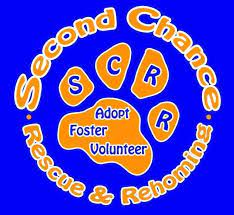 Second chance animal rescue and sanctuary a 6767 clarcona ocoee rd, orlando, fl 32810 rescue helping to find loving homes for dogs , cats. Pets For Adoption At Second Chance Rescue Rehoming Inc In Gainesville Fl Petfinder