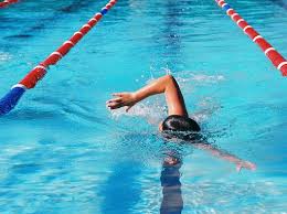 Maybe you would like to learn more about one of these? Sunshine Coast Aquatic Centres Set To Reopen With A Splash