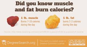 So, the assumption goes, the fact that there are roughly 3500 calories in a pound of body fat means that a deficit or surplus of 3500 calories will always result in. How Does Stored Fat Leave Your Body When You Burn It Off