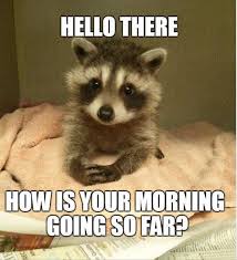 Ok, i can help with that. 80 Good Morning Memes To Kickstart Your Day Sayingimages Com