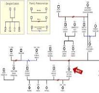 Social work genogram generator | jamesbreezfiteli1974's Ownd