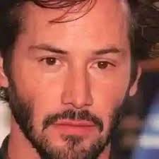 Cardinals as favorite birds in Country Corner