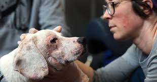 I'm proud to have led the communications team and planning for the grand  opening of this clinic earlier this year.