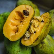 Paw paw, michigan is in usda hardiness zones 6a paw paw, michigan hardiness zone map. How To Grow And Eat A Pawpaw The New York Times