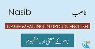 The literal meaning in arabic is share, but it came to be understood as one's share in life, and thus their destiny. Nasib Name Meaning Nasib Meaning Definition
