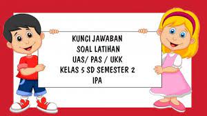 Video ini membahas soal dan kunci jawaban yang terdapat pada buku siswa senang belajar matematika kelas 15 sd halaman 9 kurikulum 2013 semester 1 tentang. Soal Uas Ipa Kelas 5 Sd Semester 2 Tahun 2021 Kunci Jawaban Latihan Pas Ukk Pilihan Ganda Essay Tribun Pontianak