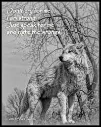 Einsamer wolf (teil 1) (1998). Wolf Quote Ausgestopftes Tier Geisttier Verliebte Wolfe