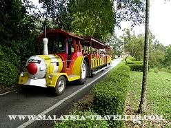 See more of taman perwira at kuala selangor on facebook. Top 20 Kuala Selangor Attractions What To See In Kuala Selangor