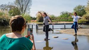 Maybe you would like to learn more about one of these? Slimbridge Wetland Centre Works With Aardman To Launch New App Bbc News