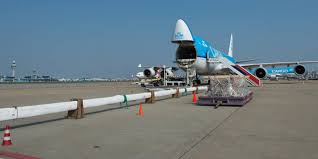 Variants that were not developed. Air France Klm Martinair Cargo Boeing 747 400 Erf