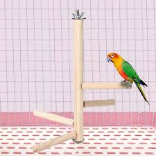 Love birds pet shop is a cyprus business located in aglantzia, nicosia. Pet Shops Near Me That Sell Lovebirds