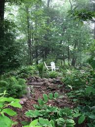 Woodland Shade Gardens Before And After Eileen Anderson Realtor Berkshire Hathaway Home Services Ne In 2020 Wooded Backyard Landscape Garden In The Woods Shade Garden Design