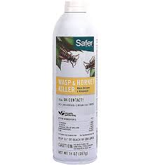 wasp hornet by safer brand