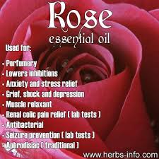 Pin By Robert Mann On Herbs Essential Oils Herbs Rose Essentials Essential Oils Aromatherapy