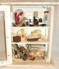 However, it would be a mistake to limit the cabinet of curiosities to this. Create A Cabinet Of Curiosities
