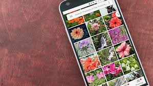 تطبيق صور قوقل أصبح يتيح نسخ النصوص من على الصور Photo Backup Photography Projects Ios Photo App
