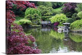 Japanese Garden Brooklyn Botanical Garden Brooklyn New York City New York Brooklyn Botanical Garden Japanese Garden Japanese Garden Design
