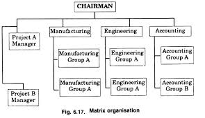 matrix organisation meaning merits and demerits with diagram