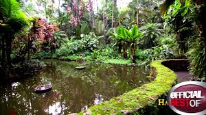 The hawaii tropical bioreserve & garden attracts photographers, gardeners, scientists, and nature lovers from around the world. Hawaii Tropical Botanical Garden Best Botanical Garden Hawaii 2013 Youtube